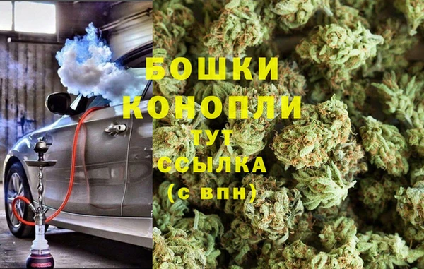 индика Володарск