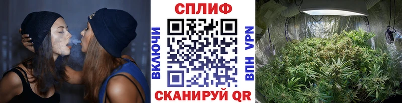 купить наркотики цена  Дмитриев  Каннабис марихуана 